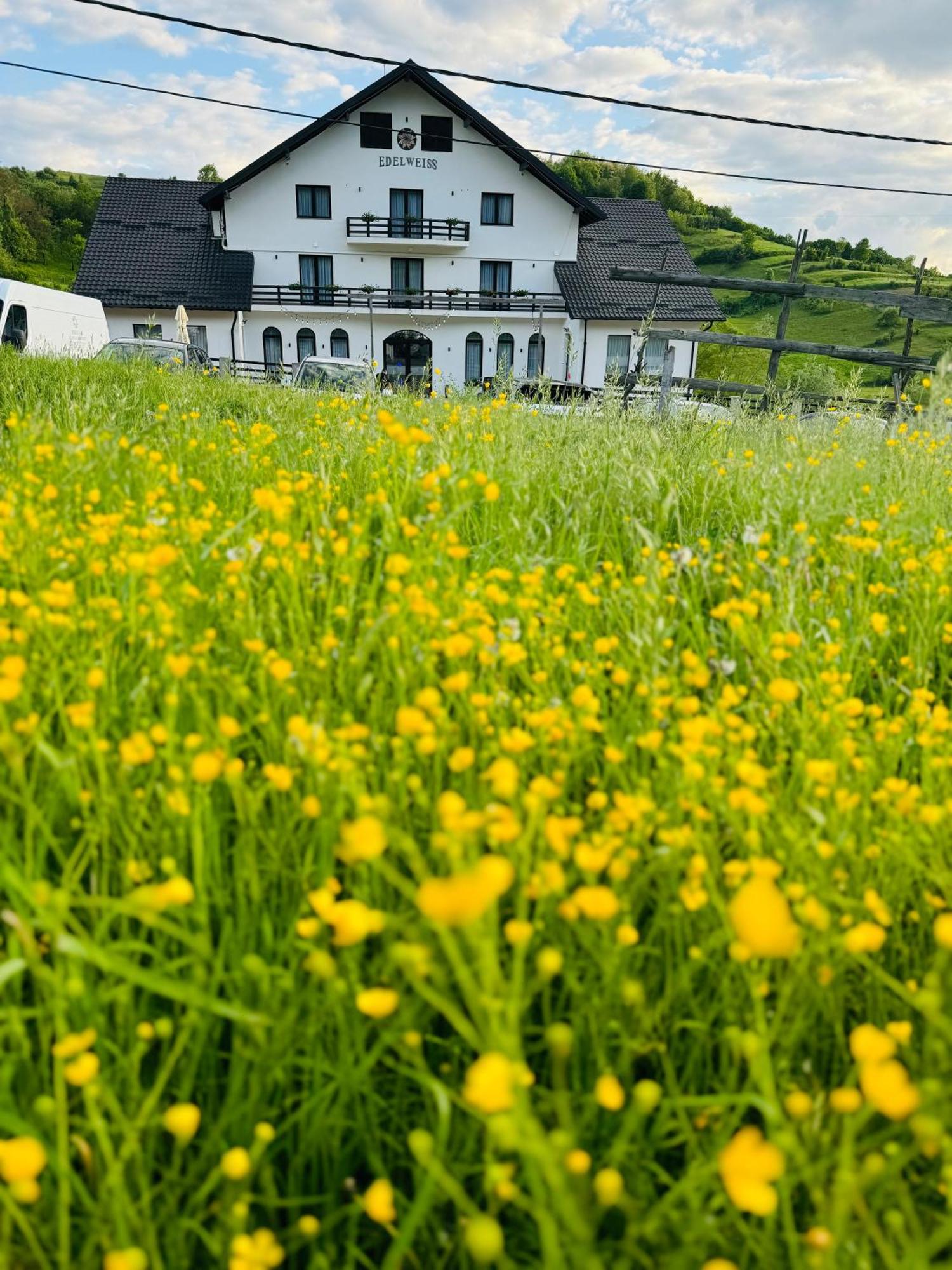 Evenimente Edelweiss Hotel Bogdan Vodă Exterior foto